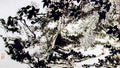 chinese masters paintings pan tianshou pts0048 A4 Photo Print