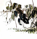 chinese masters paintings qi baishi qbs0019 A4 Photo Print