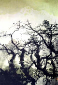 chinese masters paintings xu beihong xbh0029 A4 Photo Print