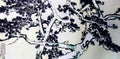 chinese masters paintings xu beihong xbh0069 A4 Photo Print