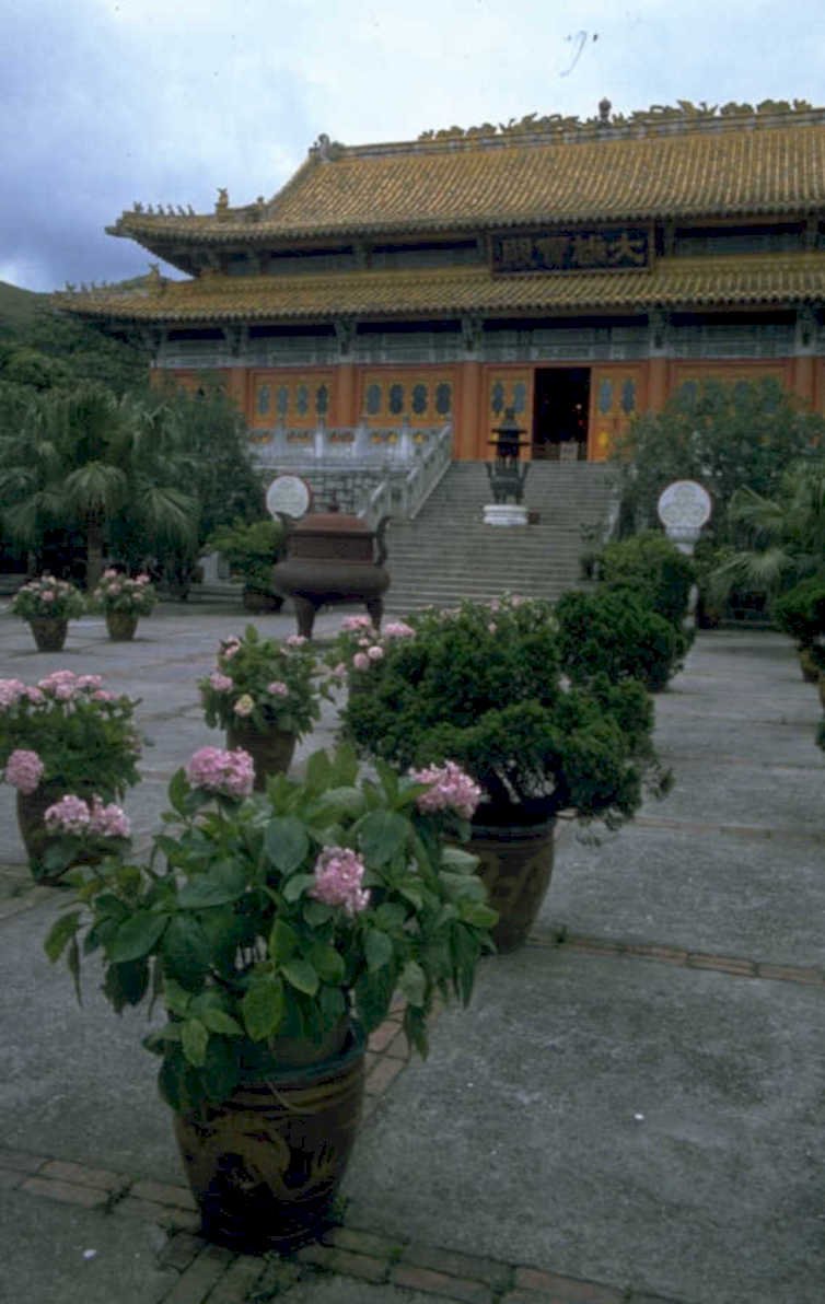 chinese temple hydrangeas 1980s 1990s A4 Photo Print