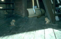chipmunks deck sunlight Vintage A4 Photo Print