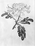 chrysanthemum mc escher 1916 A4 Photo Print