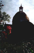 church dome oaxaca Vintage A4 Photo Print