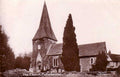 church pairixbourne treeVintage 1880s 1900s A4 Photo Print