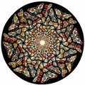 circle limit with butterflies mc escher 1950 A4 Photo Print