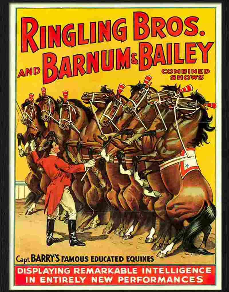 circus poster horses 1910s Advert A4 Photo Print