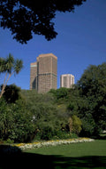 city skyline flowers 1980s 1990s A4 Photo Print