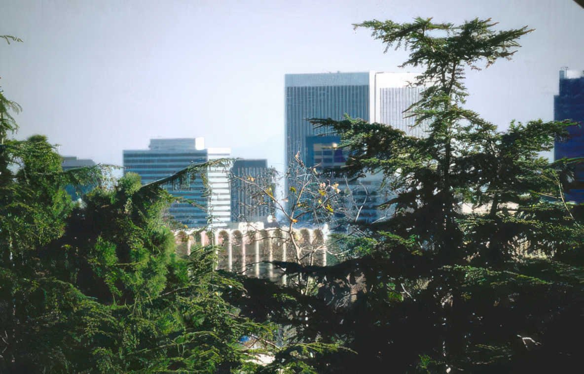 city skyline trees Vintage A4 Photo Print