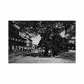 ciudad de panama santa anna park i l maduro jr 114 Vintage A4 Photo Print