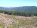clearcut mountains evergreen1980s 1990s A4 Photo Print