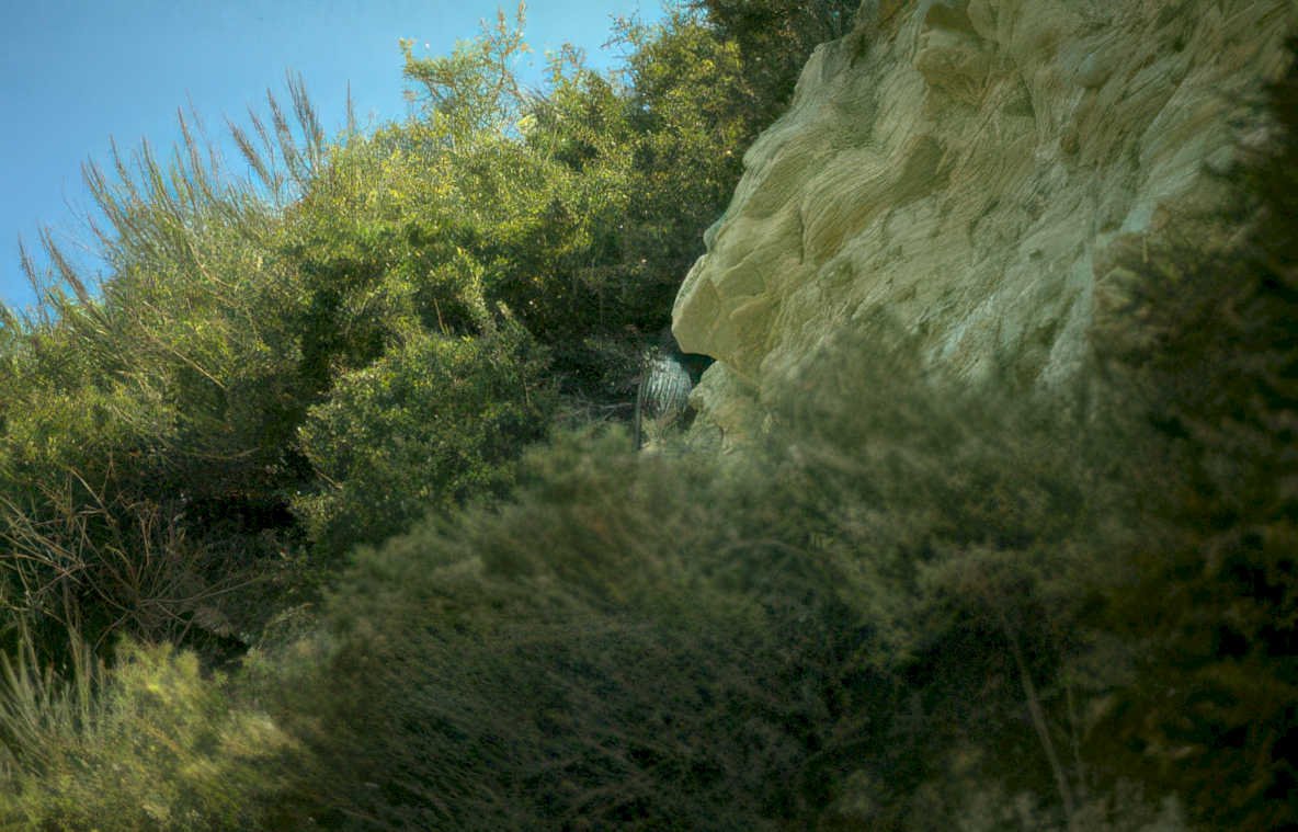 cliff fox landscape Vintage A4 Photo Print