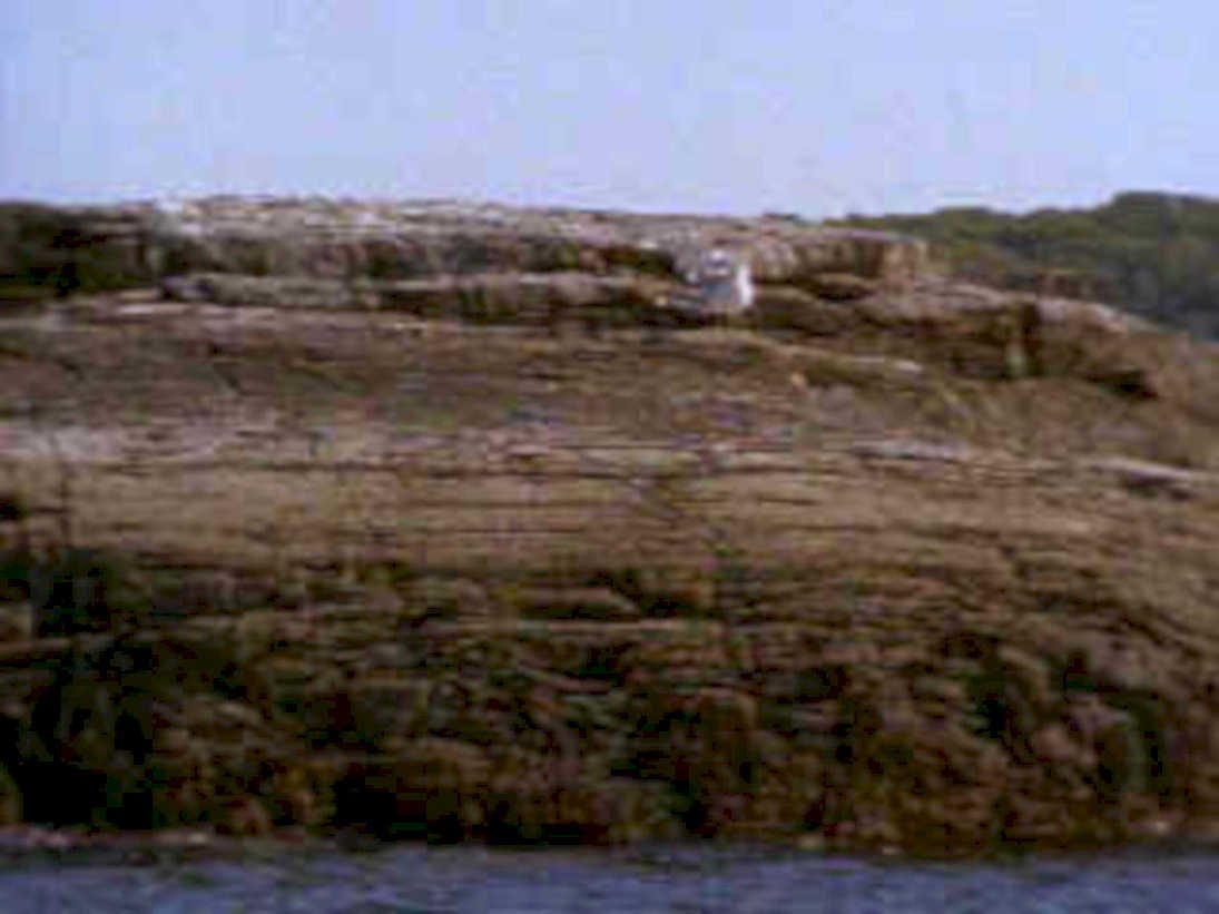 cliff shore rocks1980s 1990s A4 Photo Print