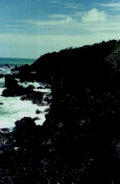 cliffside ocean waves1980s 1990s A4 Photo Print
