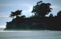 cliffside trees ocean Vintage A4 Photo Print