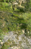 cliffside waterfall moss Vintage A4 Photo Print