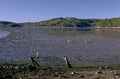 coast mudflats cape 1980s 1990s A4 Photo Print