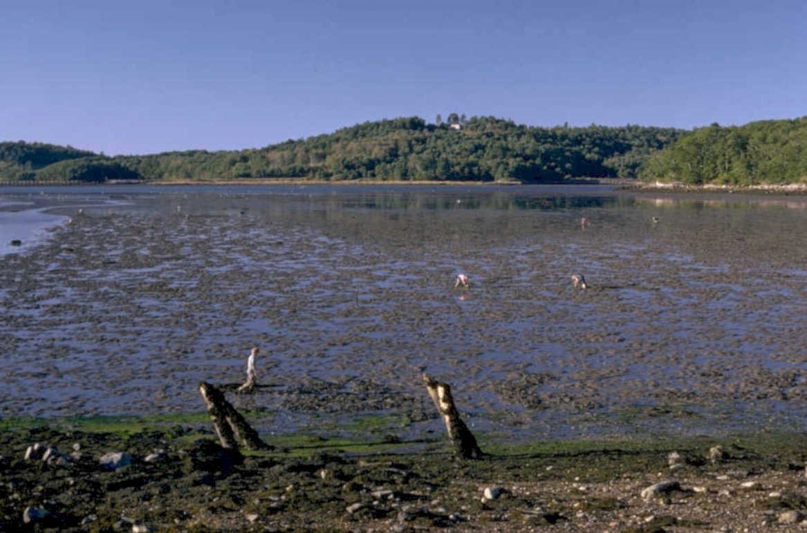 coast mudflats cape 1980s 1990s A4 Photo Print