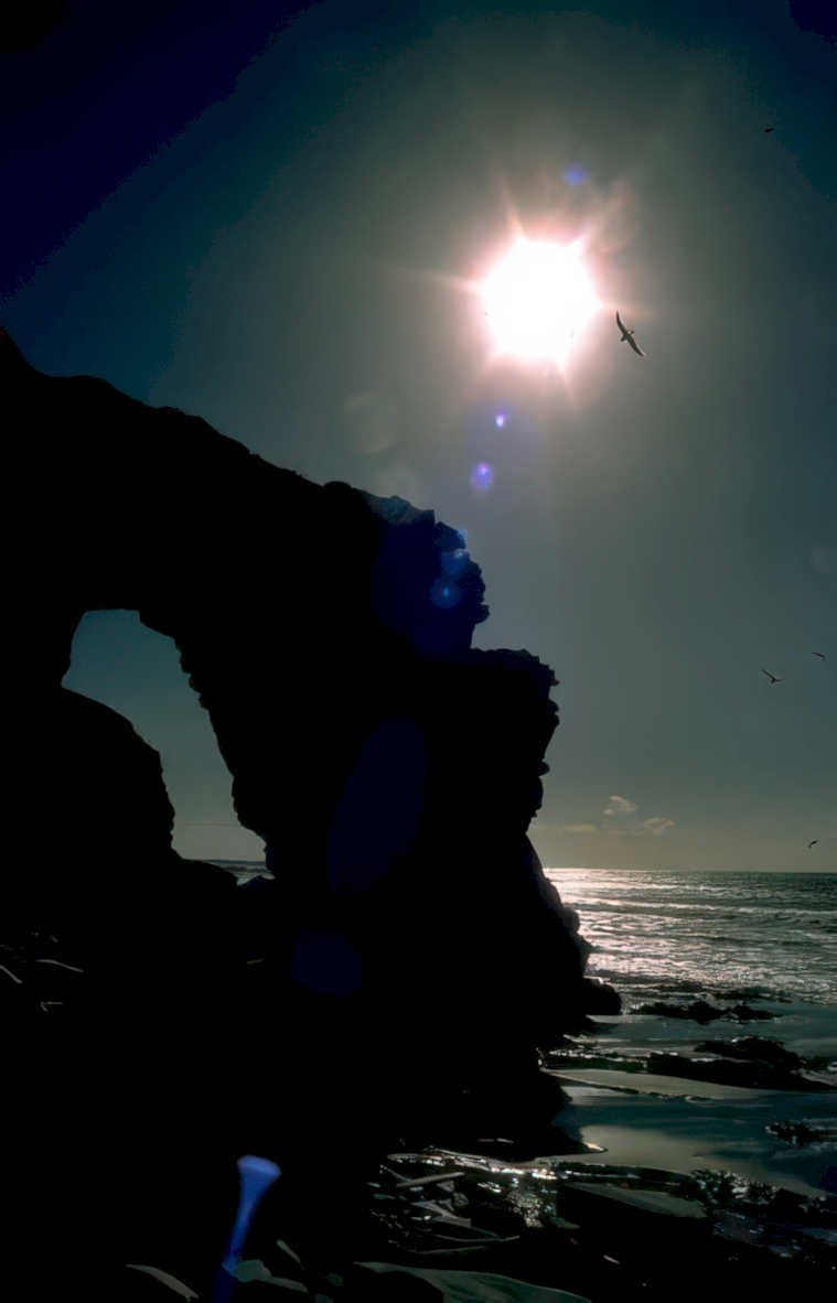 coast rock seagulls Vintage A4 Photo Print