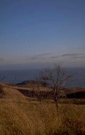 coastal autumn landscape 1980s 1990s A4 Photo Print