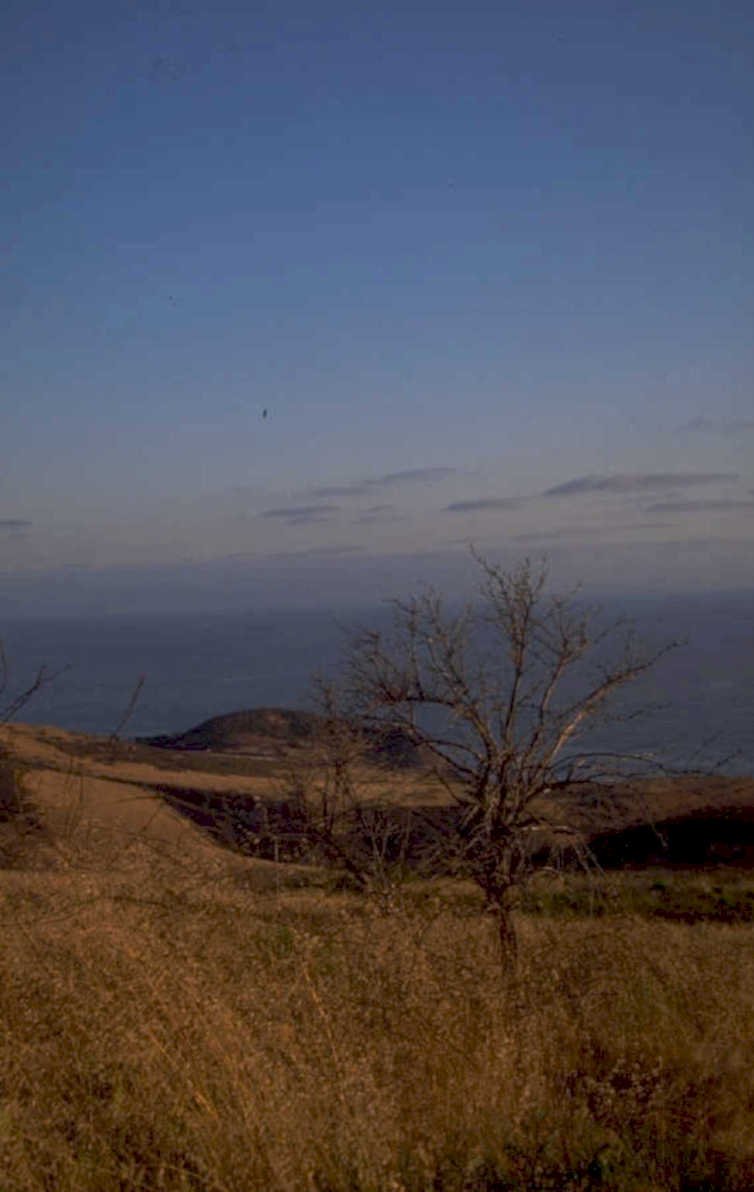 coastal autumn landscape 1980s 1990s A4 Photo Print