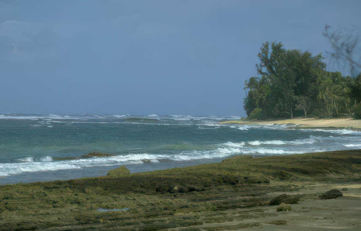 coastal beach puerto Vintage A4 Photo Print