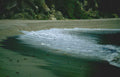 coastal beach seagull Vintage A4 Photo Print