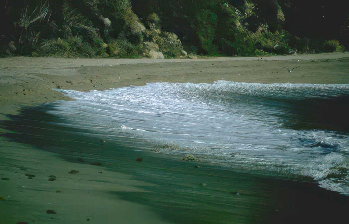 coastal beach seagull Vintage A4 Photo Print