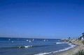 coastal beach surfing 1980s 1990s A4 Photo Print