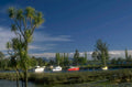 coastal boats palms 1980s 1990s A4 Photo Print