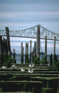 coastal bridge seagulls Vintage A4 Photo Print