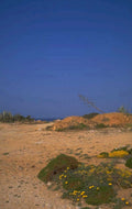 coastal desert scene 1980s 1990s A4 Photo Print