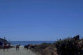 coastal donkey herd 1980s 1990s A4 Photo Print