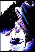coastal driftwood snow Vintage A4 Photo Print