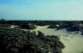coastal dunes landscape 21980s 1990s A4 Photo Print