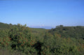 coastal evergreen mountains 1980s 1990s A4 Photo Print