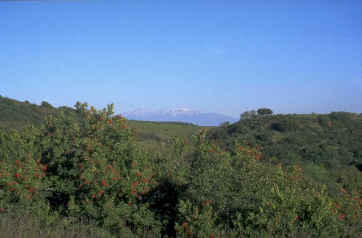 coastal evergreen mountains 1980s 1990s A4 Photo Print