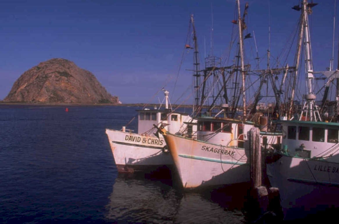 coastal fishing boats 1980s 1990s A4 Photo Print