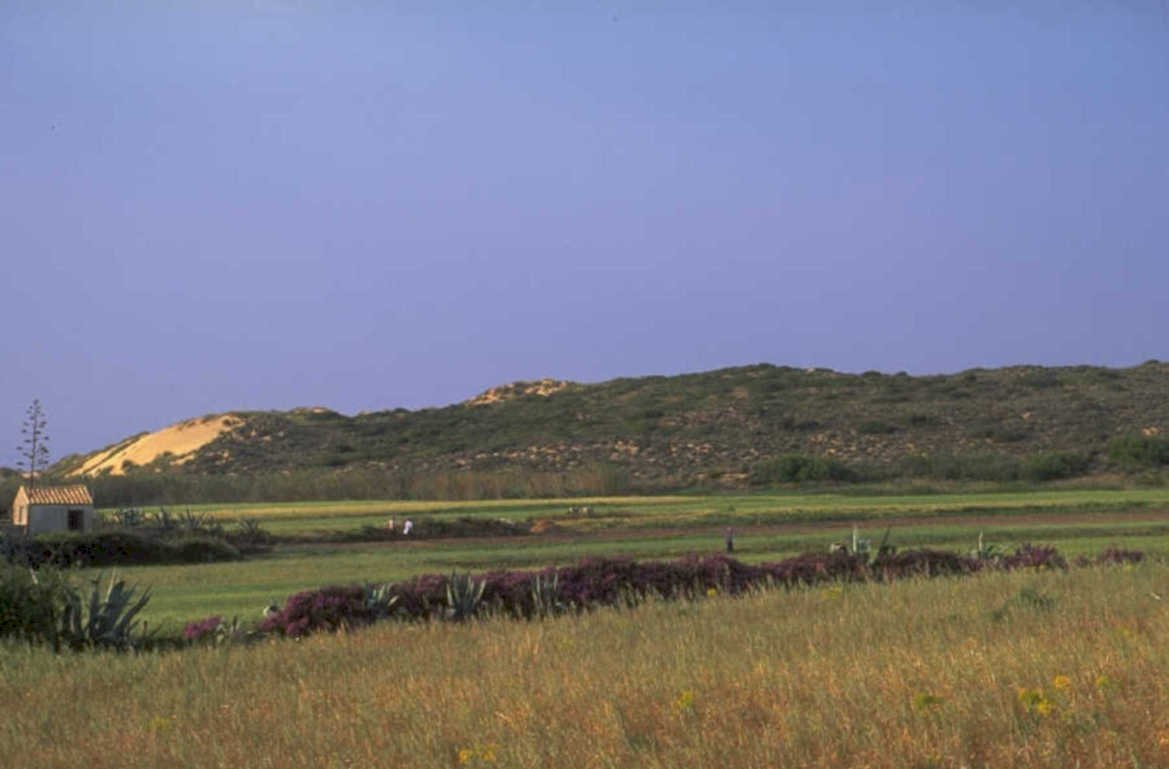 coastal grassland spain 1980s 1990s A4 Photo Print