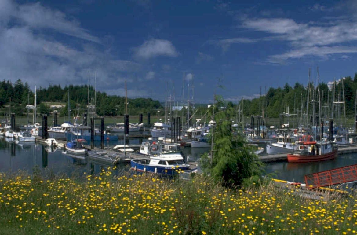 coastal harbor scene 1980s 1990s A4 Photo Print