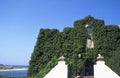 coastal ivy villa 1980s 1990s A4 Photo Print