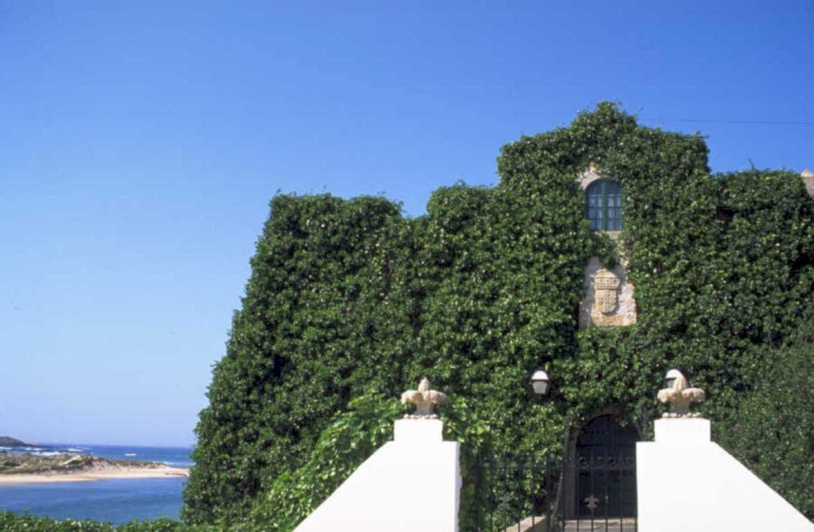 coastal ivy villa 1980s 1990s A4 Photo Print