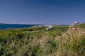 coastal meadow nova 1980s 1990s A4 Photo Print