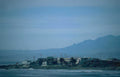 coastal palisades view Vintage A4 Photo Print