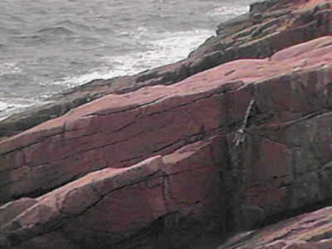 coastal rock formation1980s 1990s A4 Photo Print 43