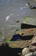 coastal rock tidepool Vintage A4 Photo Print