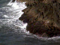 coastal rock waves 11980s 1990s A4 Photo Print 42