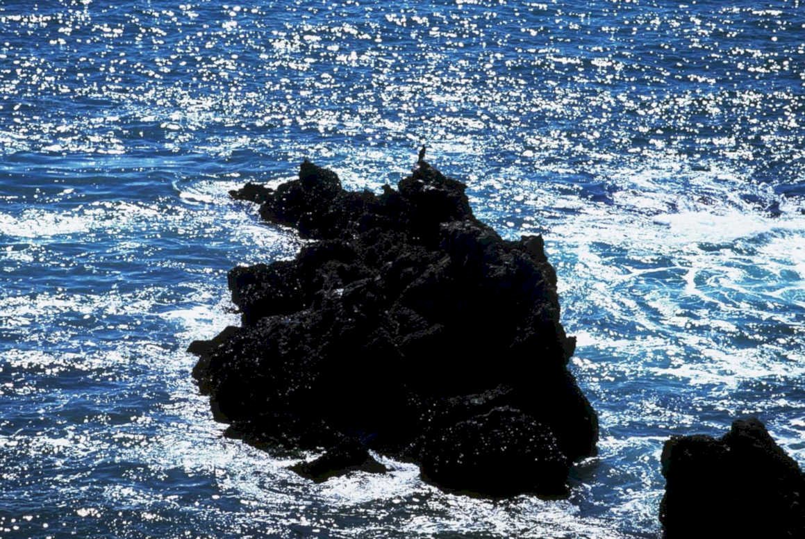 coastal rock waves 11980s 1990s A4 Photo Print