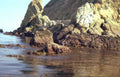 coastal rocks beach Vintage A4 Photo Print