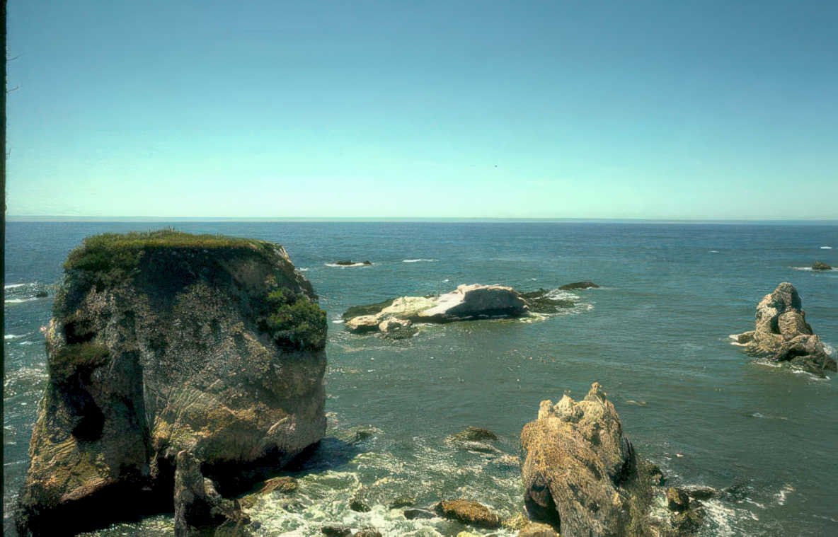 coastal rocks monterey Vintage A4 Photo Print